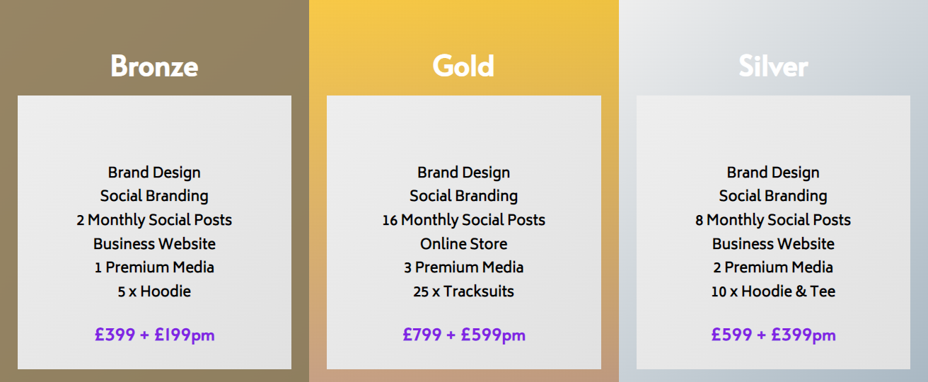 Getting Business Started Tiers Bronze Silver and Gold